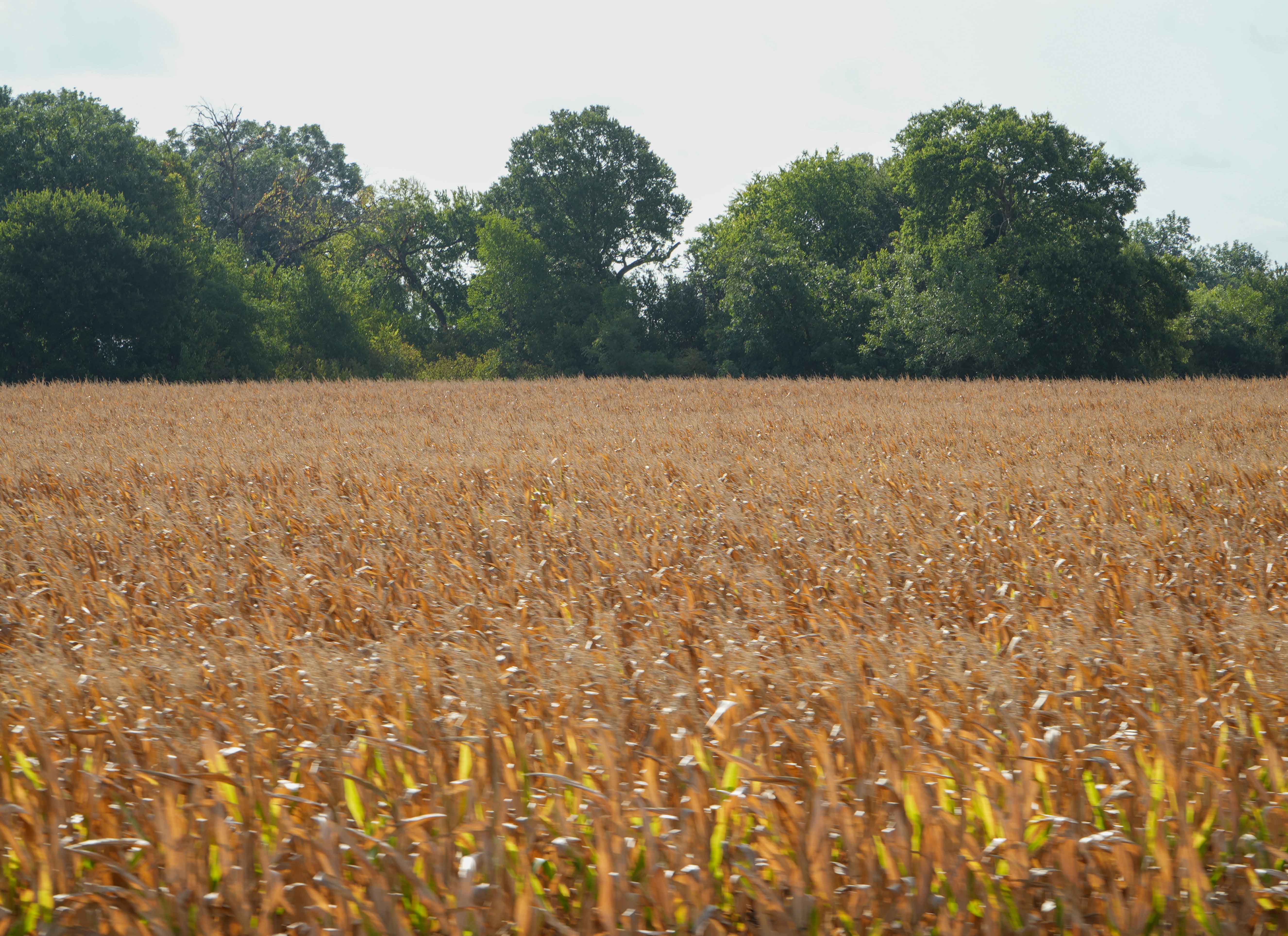 Row Crop Protection